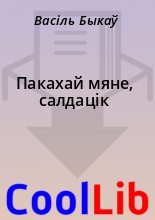 Книга - Васіль  Быкаў - Пакахай мяне, салдацік (fb2) читать без регистрации