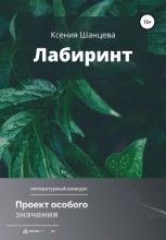 Книга - Ксения  Шанцева - Лабиринт (fb2) читать без регистрации