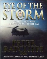 Книга - Питер  Рэтклифф - Глаз бури (fb2) читать без регистрации