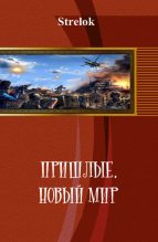 Книга -   Strelok - Пришлые. Новый мир (fb2) читать без регистрации