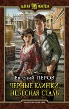 Книга - Евгений  Перов - Черные клинки. Небесная сталь (fb2) читать без регистрации
