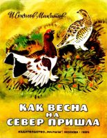 Книга - Иван Сергеевич Соколов-Микитов - Как весна на север пришла (pdf) читать без регистрации