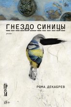 Книга - Рома  Декабрев - Гнездо синицы (fb2) читать без регистрации