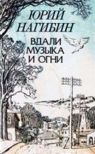 Книга - Юрий Маркович Нагибин - Силуэты города и лиц (fb2) читать без регистрации