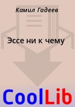 Книга - Камил  Гадеев - Эссе ни к чему (fb2) читать без регистрации