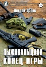 Книга - Андрей  Царев - Конец игры (fb2) читать без регистрации