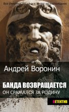 Книга - Андрей  Воронин - Банда возвращается (fb2) читать без регистрации