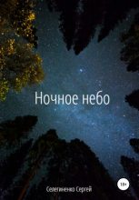 Книга - Сергей Александрович Селегиненко - Ночное небо (fb2) читать без регистрации