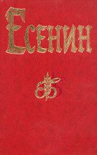 Книга - Сергей Александрович Есенин - Ленин (fb2) читать без регистрации