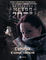 Книга - Ник  Львовский - Метро 2033: Сумрак в конце туннеля (сборник) (fb2) читать без регистрации