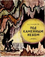 Книга - Николай Иванович Сладков - Под каменным небом (pdf) читать без регистрации