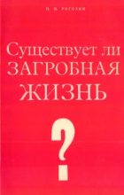 Книга - Павел Иосифович Рогозин - Существует ли загробная жизнь (другой перевод) (doc) читать без регистрации