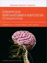 Книга - Эстомих  Мтуи - Клиническая нейроанатомия и неврология по Фицджеральду (pdf) читать без регистрации