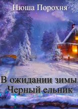 Книга - Анна  Лерн (Порохня) - В ожидании зимы. Черный ельник (СИ) (fb2) читать без регистрации