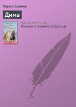 Книга - Роман Валерьевич Сенчин - Дима (fb2) читать без регистрации
