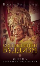 Книга - Калу  Ринпоче - Совершенный буддизм. Жизнь, достойная подражания (fb2) читать без регистрации