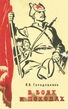 Книга - Ока Иванович Городовиков - В боях и походах (fb2) читать без регистрации