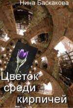 Книга - Нина  Баскакова - Цветок среди кирпичей (fb2) читать без регистрации