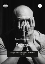 Книга - Арик  Киланянц - Гвоздь (fb2) читать без регистрации