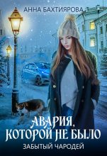 Книга - Анна  Бахтиярова - Забытый чародей. Авария, которой не было (fb2) читать без регистрации