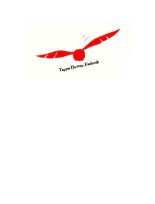 Книга -   Коллектив авторов - Я получил сову! Фанбук по волшебному миру Гарри Поттера (pdf) читать без регистрации