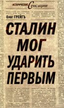 Книга - Олег  Грейгъ - Сталин мог ударить первым (fb2) читать без регистрации