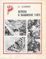 Книга - Станислав Михайлович Олефир - Встречи в Колымской тайге (fb2) читать без регистрации