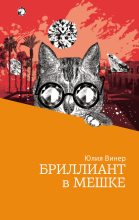 Книга - Юлия  Винер - Бриллиант в мешке (fb2) читать без регистрации