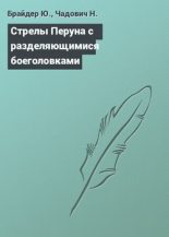 Книга - Юрий Михайлович Брайдер - Стрелы Перуна с разделяющимися боеголовками (fb2) читать без регистрации