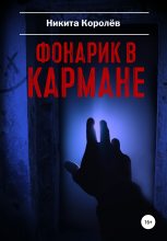 Книга - Никита  Королёв - Фонарик в кармане (fb2) читать без регистрации