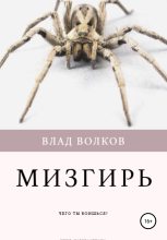 Книга - Влад  Волков - Мизгирь (fb2) читать без регистрации