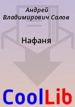 Книга - Андрей Владимирович Салов - Нафаня (fb2) читать без регистрации