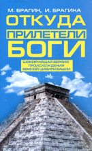 Книга - Михаил Александрович Брагин - Откуда прилетели боги (fb2) читать без регистрации