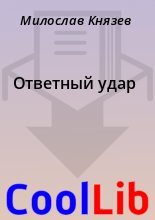 Книга - Милослав  Князев - Ответный удар (fb2) читать без регистрации