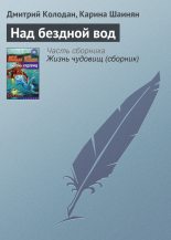 Книга - Дмитрий Геннадьевич Колодан - Над бездной вод (fb2) читать без регистрации