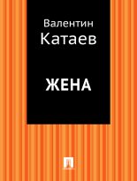 Книга - Валентин Петрович Катаев - Жена (fb2) читать без регистрации