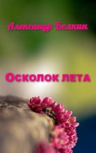 Книга - Александр  Белкин - Осколок лета (СИ) (fb2) читать без регистрации