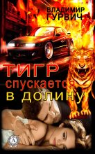 Книга - Владимир  Гурвич - Тигр спускается в долину (fb2) читать без регистрации