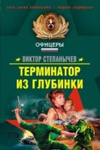 Книга - Виктор  Степанычев - Терминатор из глубинки (fb2) читать без регистрации