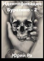 Книга - Юрий  Ра - Идентификация Буратино 2 (fb2) читать без регистрации