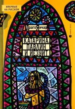 Книга - Драго  Янчар - Катарина, павлин и иезуит (fb2) читать без регистрации
