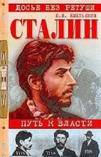 Книга - Юрий Васильевич Емельянов - Сталин. Путь к власти (fb2) читать без регистрации