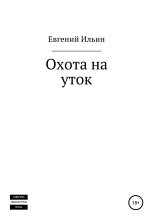 Книга - Евгений Павлович Ильин - Охота на уток (fb2) читать без регистрации