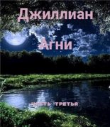 Книга - Ульяна  Каршева - Агни-3 (fb2) читать без регистрации