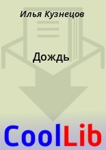 Книга - Илья  Кузнецов - Дождь (fb2) читать без регистрации