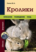 Книга - Юрий  Лапин - Кролики (fb2) читать без регистрации