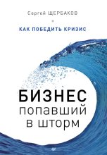 Книга - Сергей  Щербаков - Бизнес, попавший в шторм. Как победить кризис (fb2) читать без регистрации