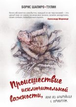 Книга - Борис  Шапиро-Тулин - Происшествие исключительной важности, или Из Бобруйска с приветом (fb2) читать без регистрации