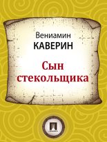 Книга - Вениамин Александрович Каверин - Сын стекольщика (fb2) читать без регистрации