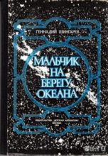 Книга - Геннадий Моисеевич Шингарев - Мальчик на берегу океана (fb2) читать без регистрации